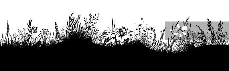 黑色草丛的横向剪影手绘图图片素材