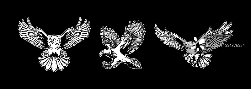 手绘鹰的套装图片素材