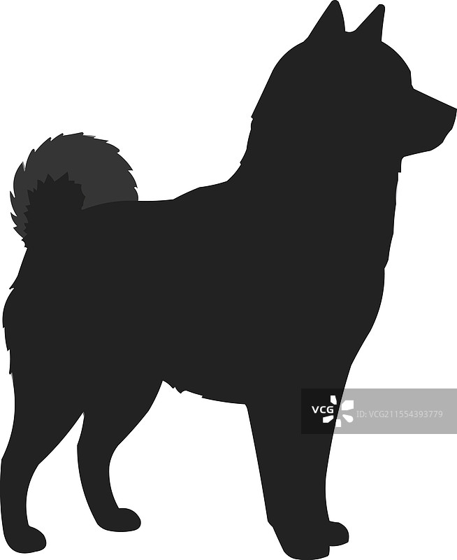 阿拉斯加哈士奇犬的简单轮廓图片素材