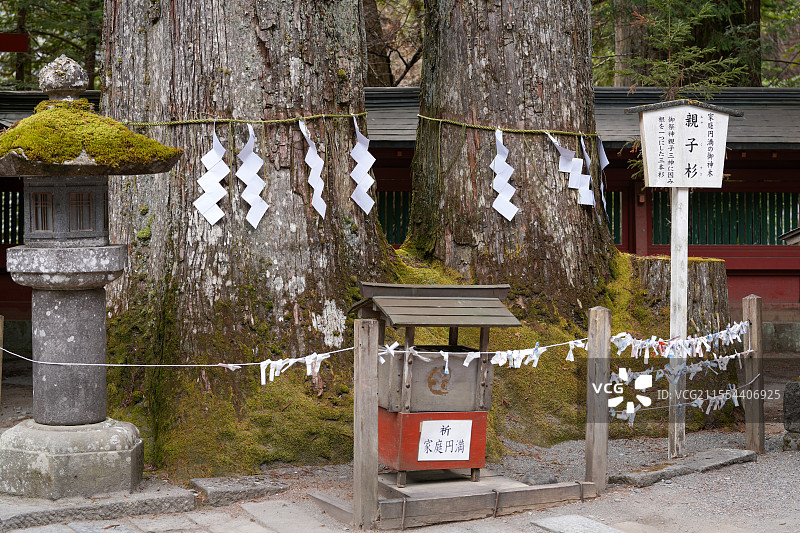 日本 枥木县 日光东照宫 世界文化遗产 德川家康 二荒山神社 亲子杉图片素材