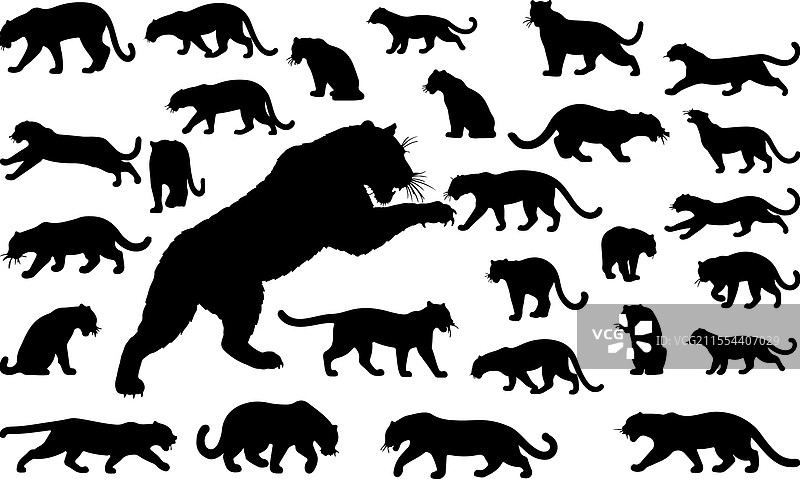 动态豹子剪影集图片素材