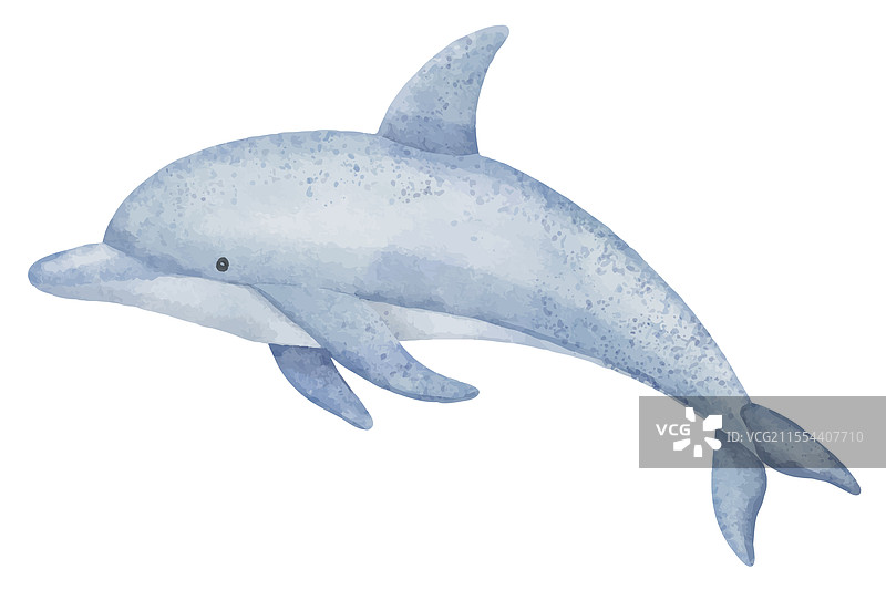 粉蓝色水彩海豚图片素材