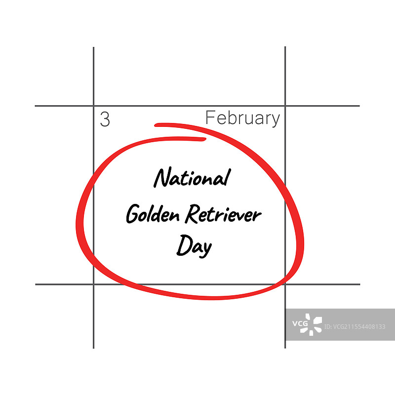 全国金毛寻回犬日 - 2月3日 - 日历图片素材
