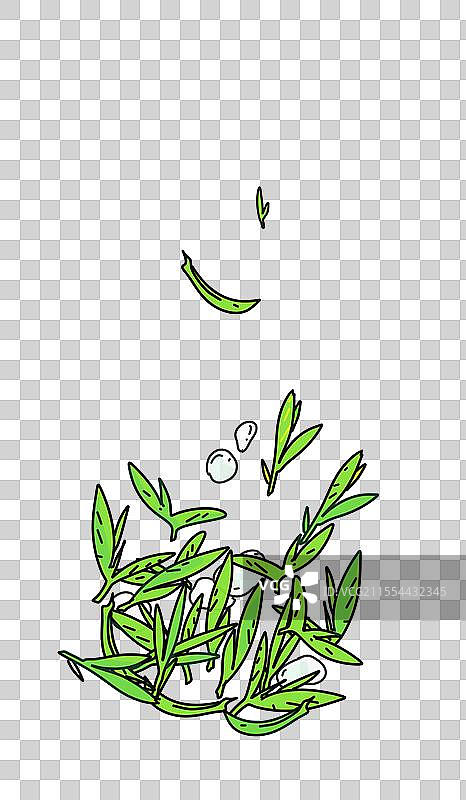 茉莉花茶 茶文化 春茶节 茶杯 杯子图片素材