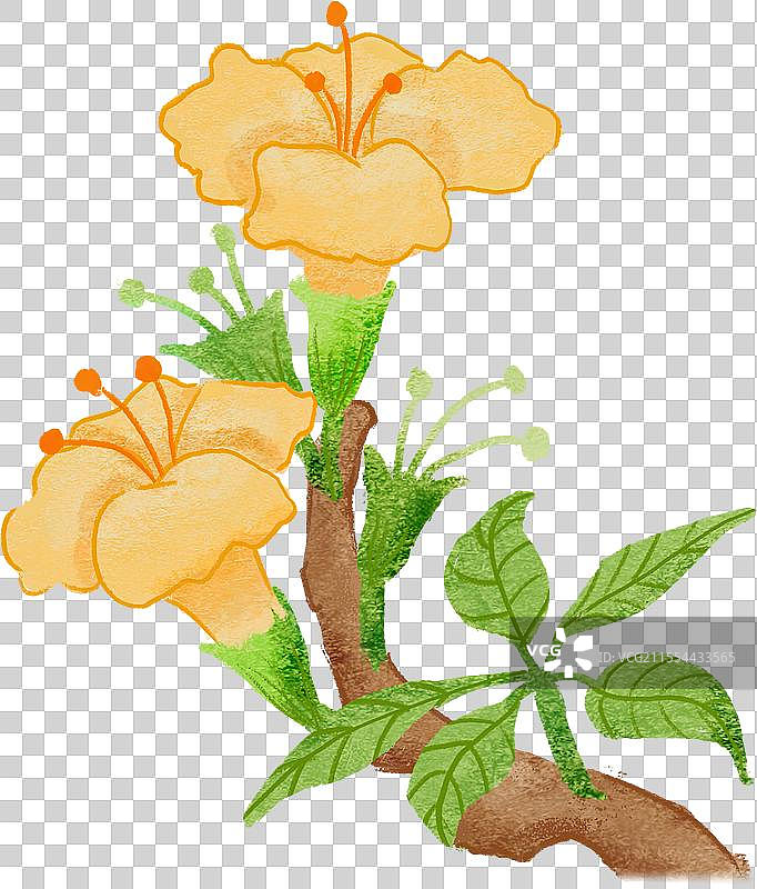 扁平肌理黄色风铃花插画元素图片素材