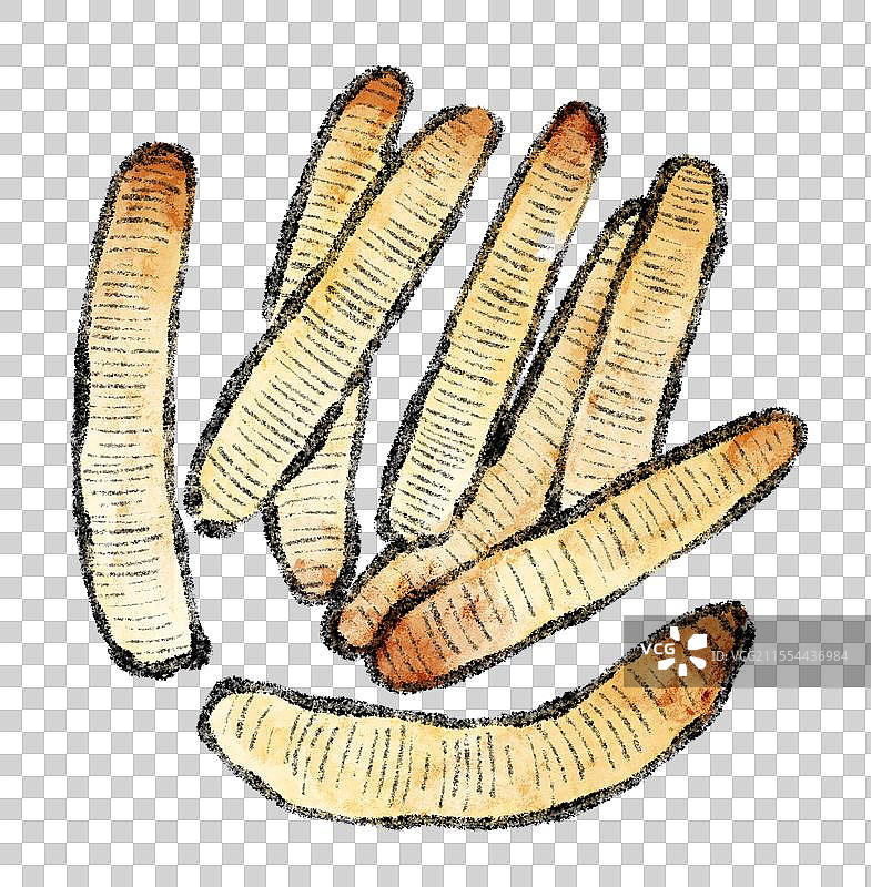 福建泉州美食国风插画-土笋冻图片素材