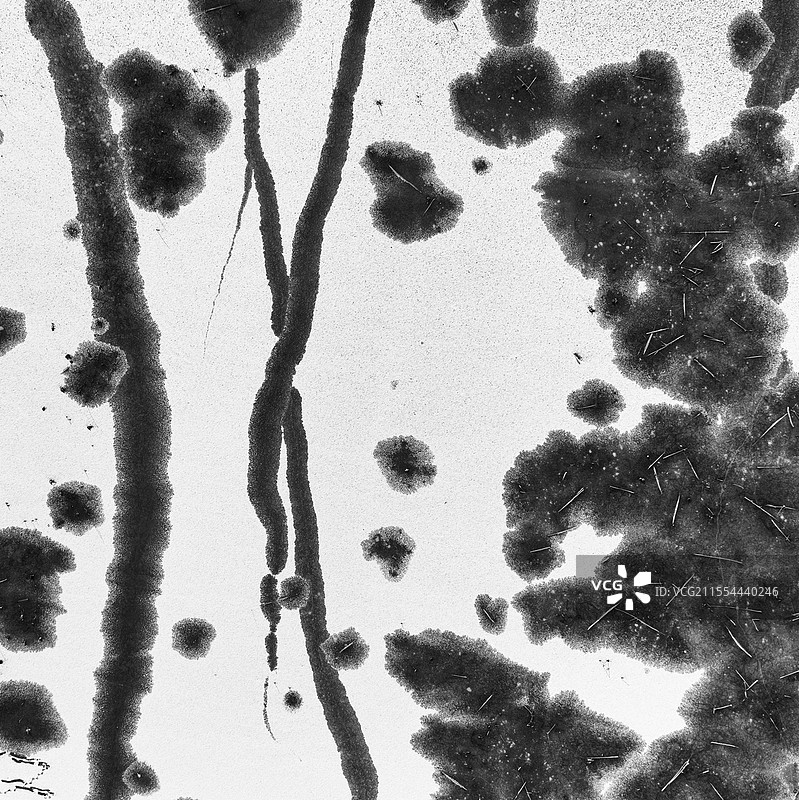 水墨荷塘图片素材