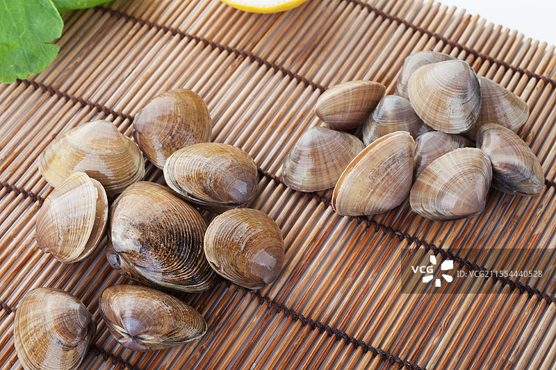 花蛤 海鲜图片素材