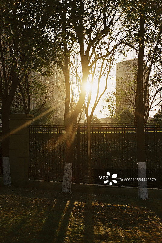 阳光会透过图片素材