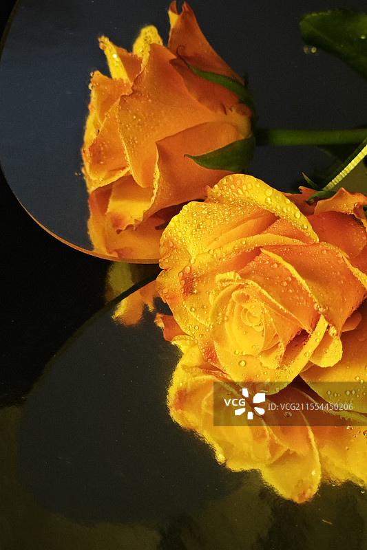 盗墓空间里的黄色玫瑰花图片素材