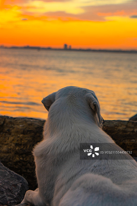 海边日落图片素材