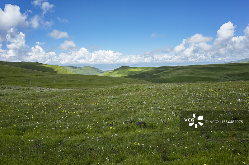 川西高原草原风光图片素材