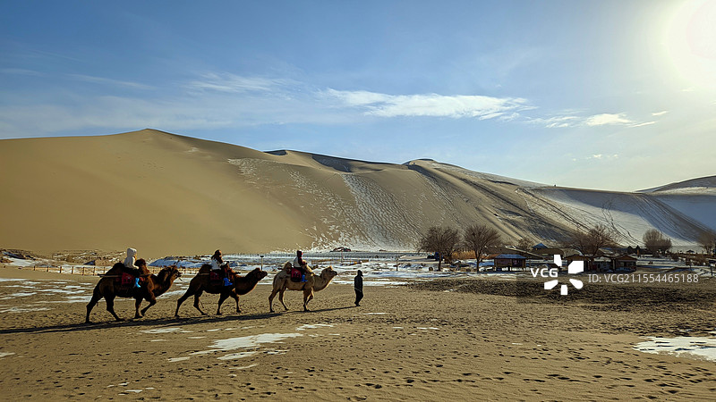 沙漠驼队图片素材