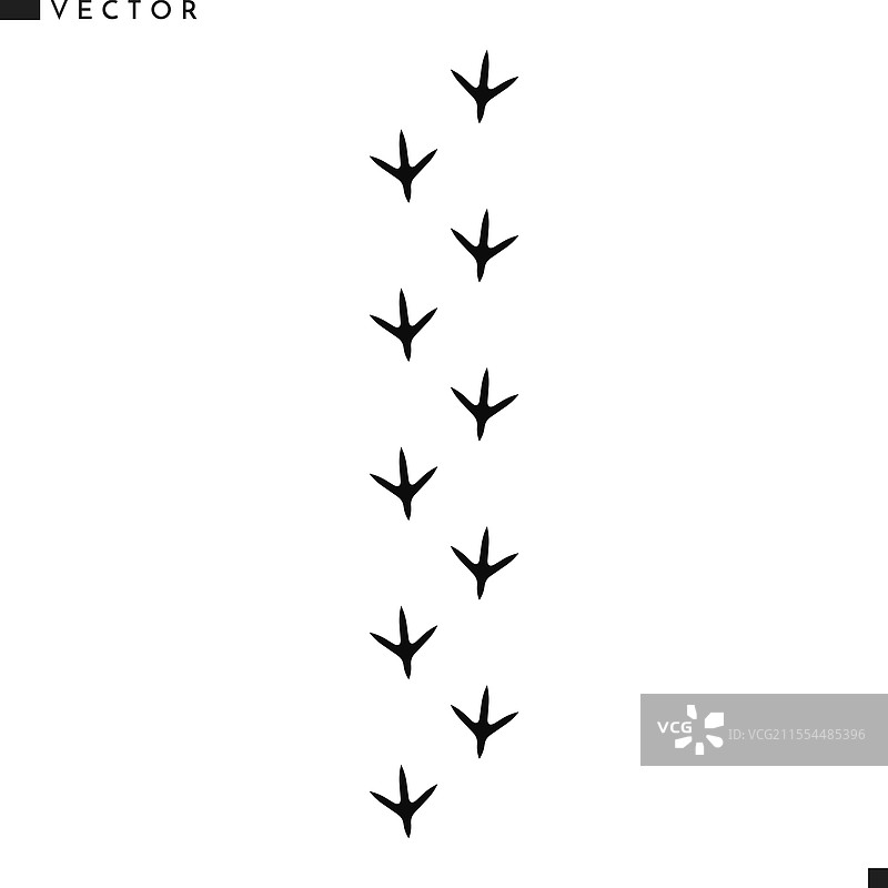 孔雀爪印图片素材