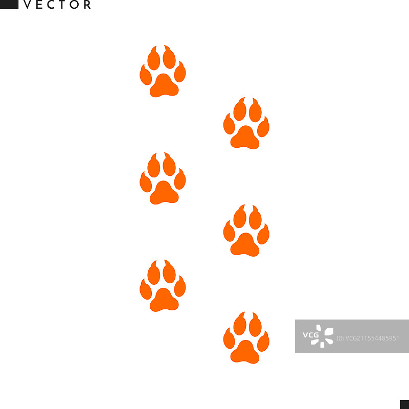 孟加拉狐爪印图片素材