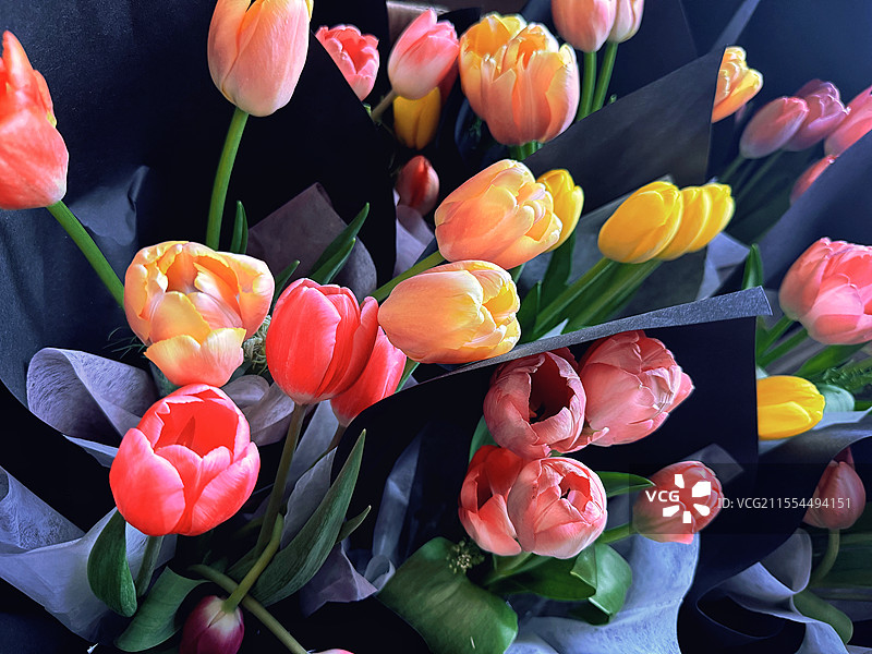 郁金香花束图片素材