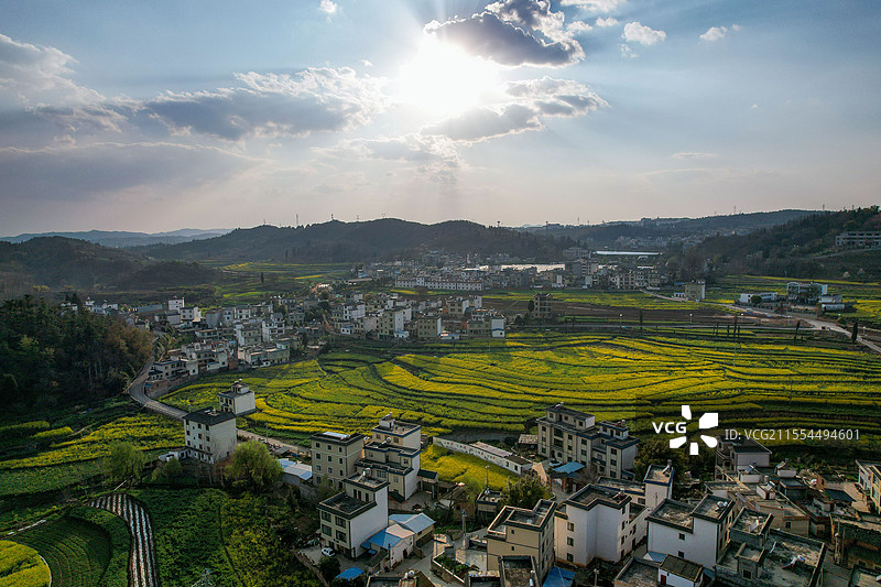航拍云南省曲靖市沾益区九龙社区春日油菜花开季的田园风光图片素材