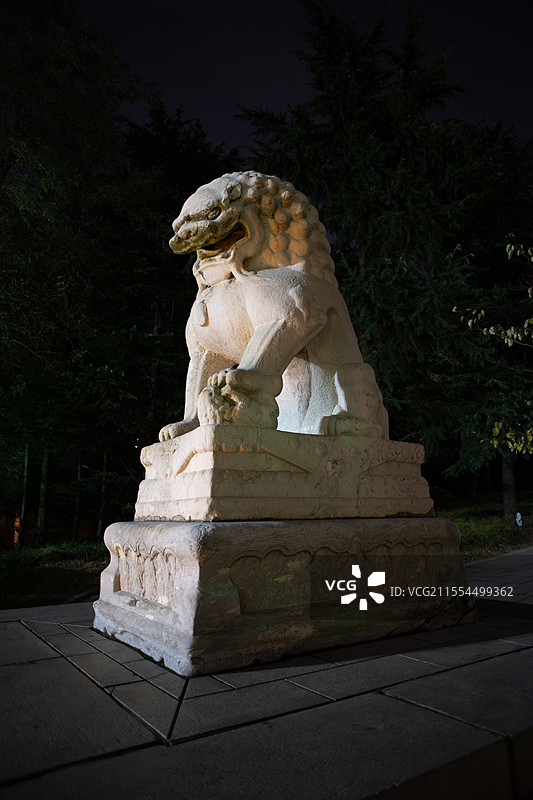 夜晚大连劳动公园的石狮子雕塑图片素材
