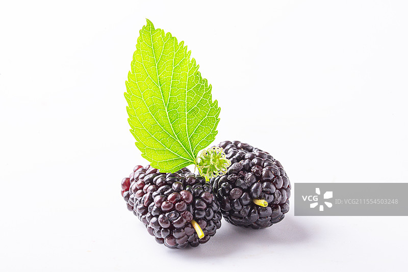 棚拍白底静物水果桑椹特写图片素材