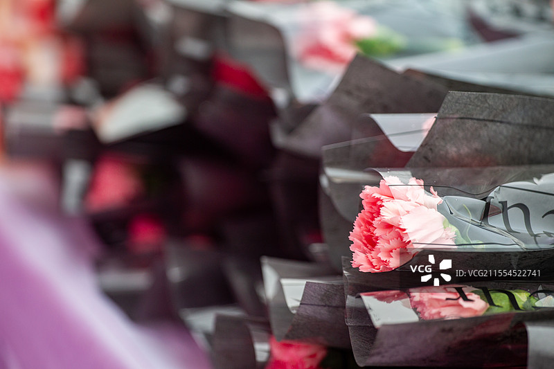 四川省绵阳市户外，白昼，浪漫，鲜花，春天，女神节，妇女节图片素材