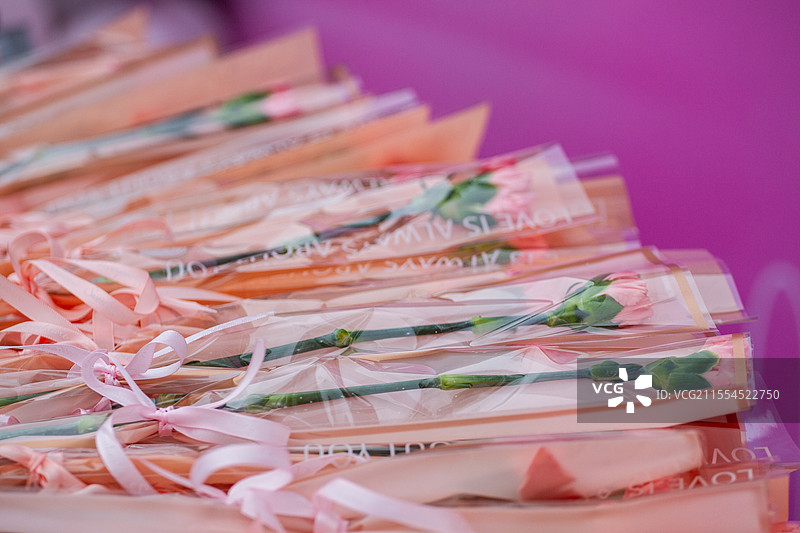 四川省绵阳市户外，白昼，浪漫，鲜花，春天，女神节，妇女节图片素材