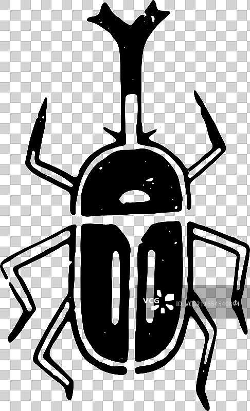 黑白 简笔画 装饰 动物 元素 甲壳虫 独角仙 昆虫 惊蛰图片素材