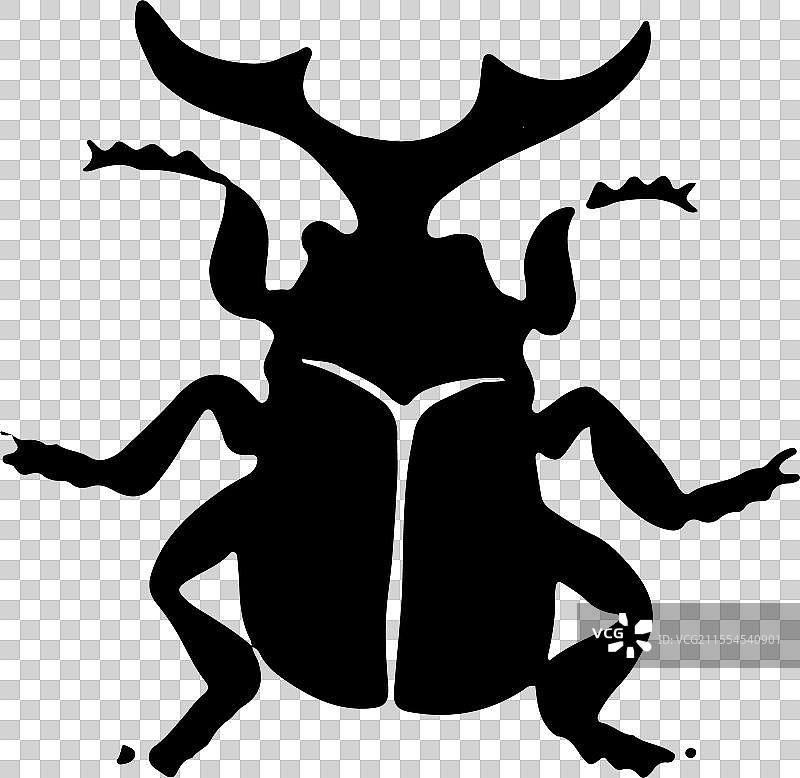 黑白 简笔画 装饰 动物 元素 甲壳虫 独角仙 昆虫 惊蛰图片素材