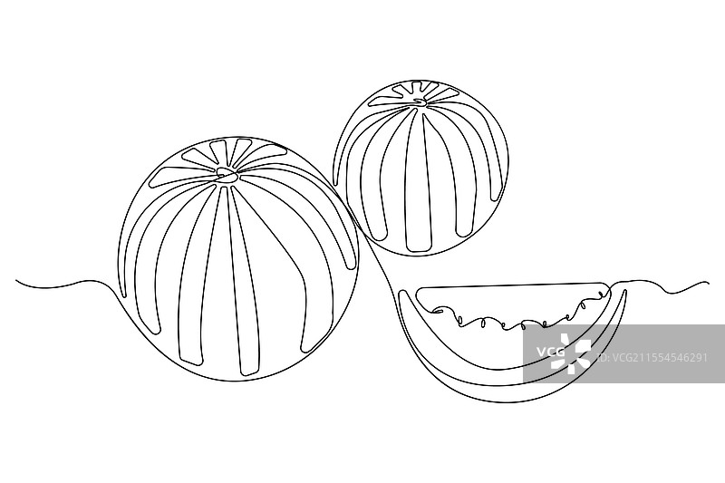 西瓜连续线条艺术绘画图片素材