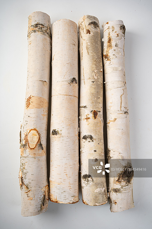 白桦树树干图片素材