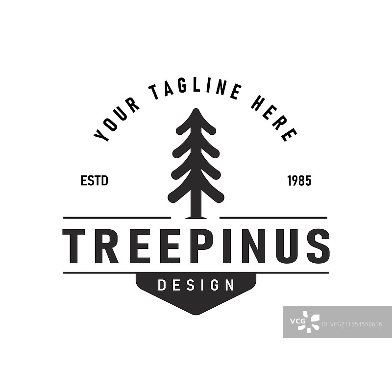 类似于云杉木的松树剪影图片素材