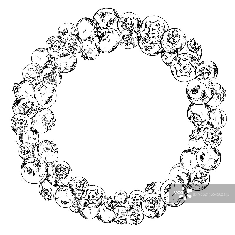 蓝莓和黑莓的手绘墨水画图片素材