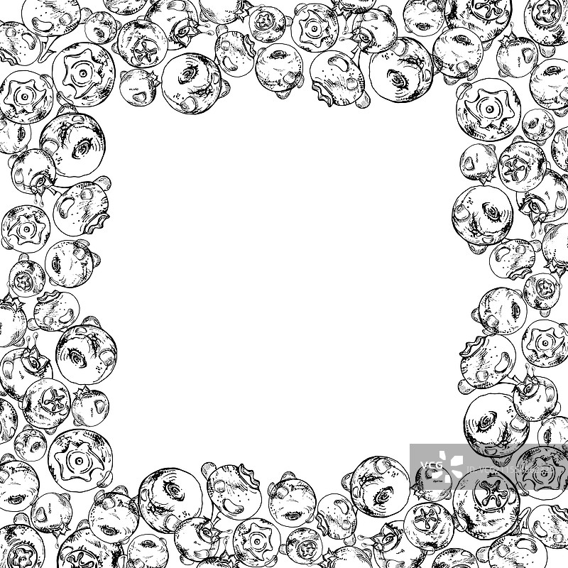 蓝莓和黑莓手绘墨水画图片素材