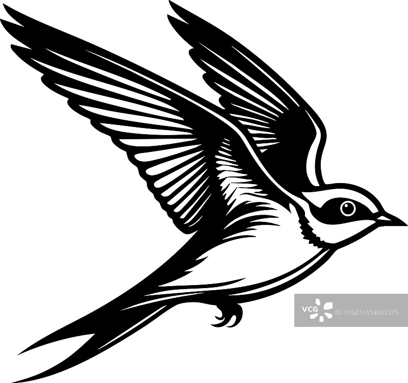 优雅的单色飞行燕子图片素材