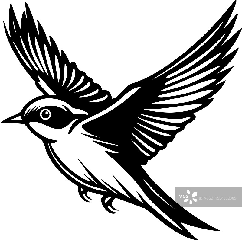 优雅的单色飞行燕子图片素材