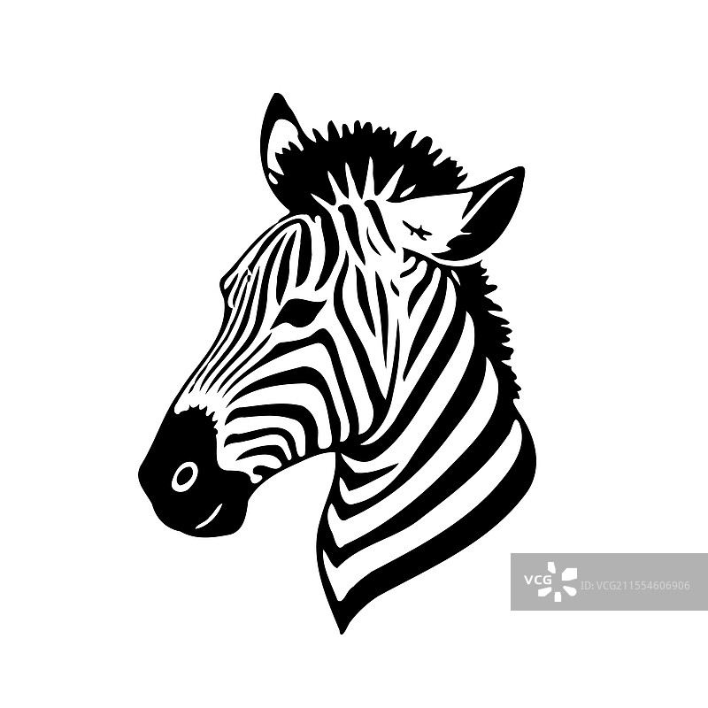 斑马黑白色头部侧面轮廓图片素材