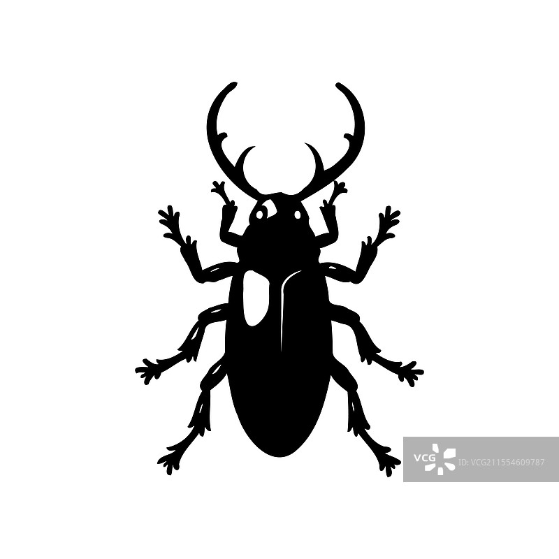 黑色甲虫轮廓在白色背景上图片素材
