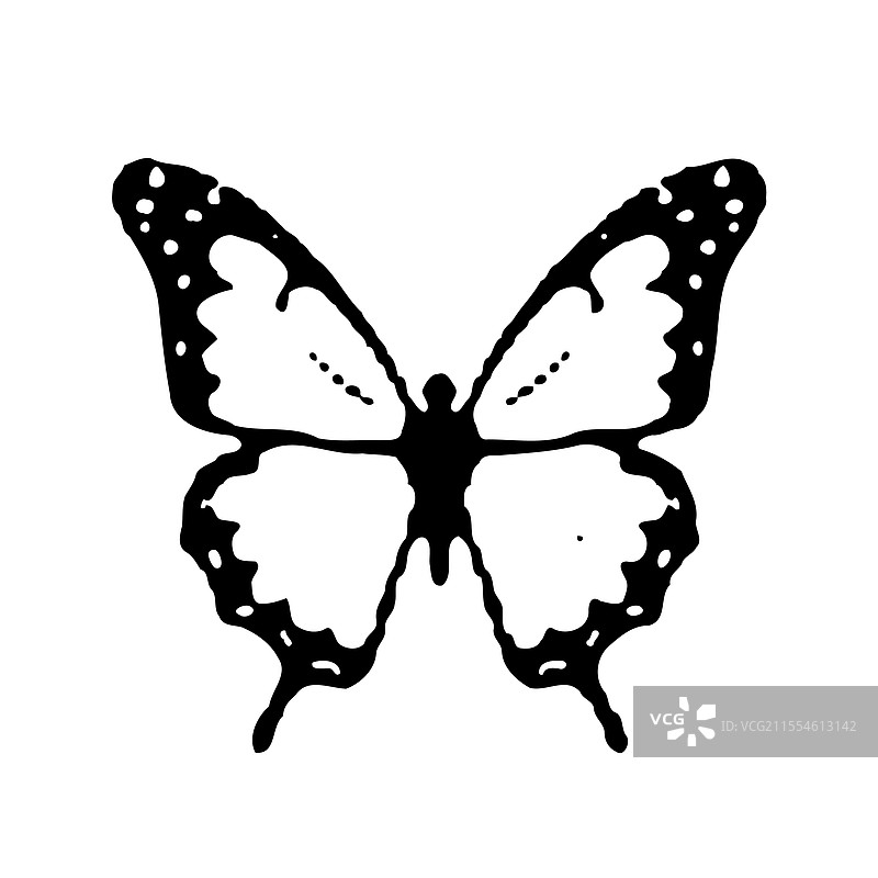 黑白蝴蝶图片素材