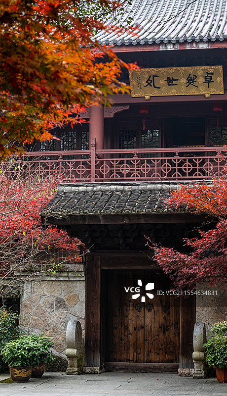 浙江杭州西湖灵隐永福禅寺文景阁三圣宝殿卓然世外佛教建筑背景中的红枫枫叶秋天秋色自然景观图片素材