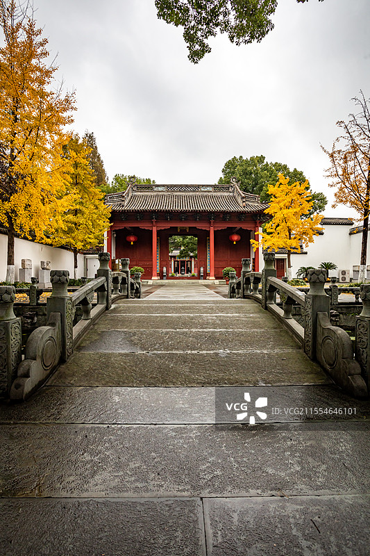 秋天银杏黄叶背景中的浙江杭州孔庙大成门棂星门大成殿泮水桥建筑秋色景观图片素材