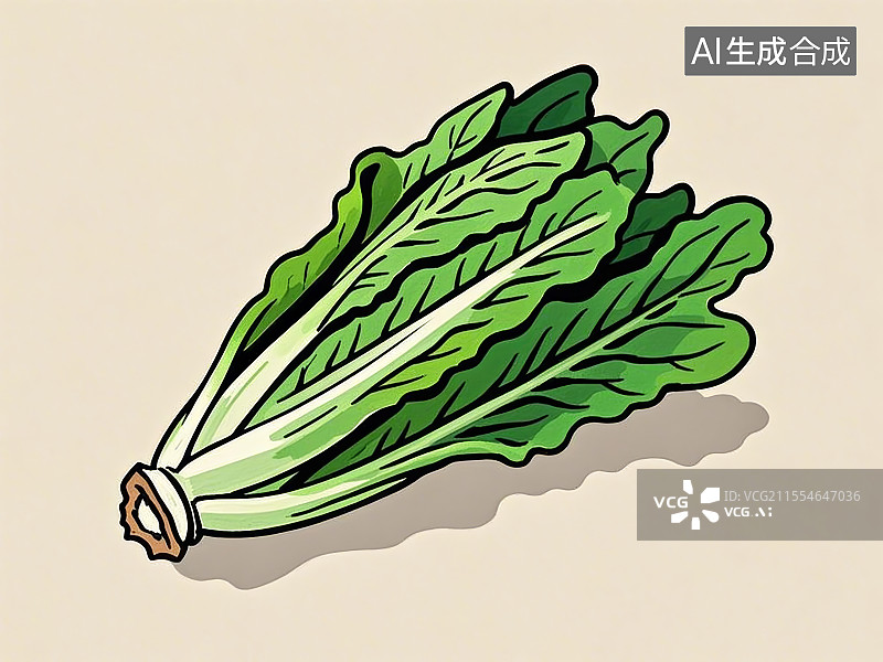 【AI数字艺术】传统蔬菜油麦菜极简彩色手绘图片素材