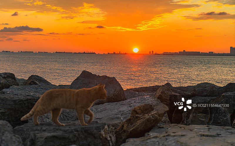 海边日落图片素材