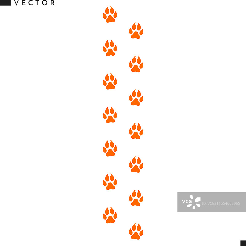 孟加拉狐的足迹图片素材