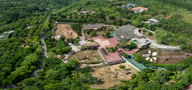 山东济南野生动物世界林梢王国航拍图片素材