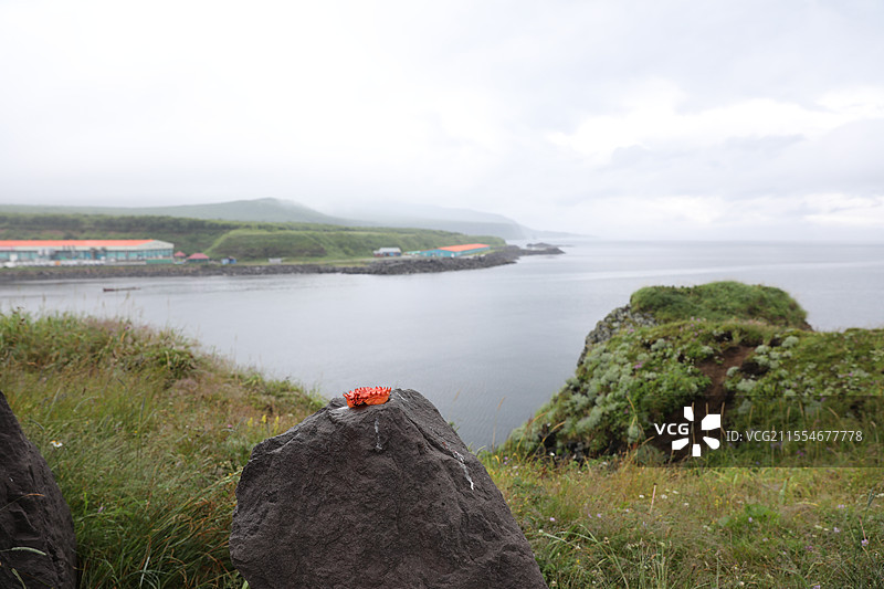择捉岛景色图片素材