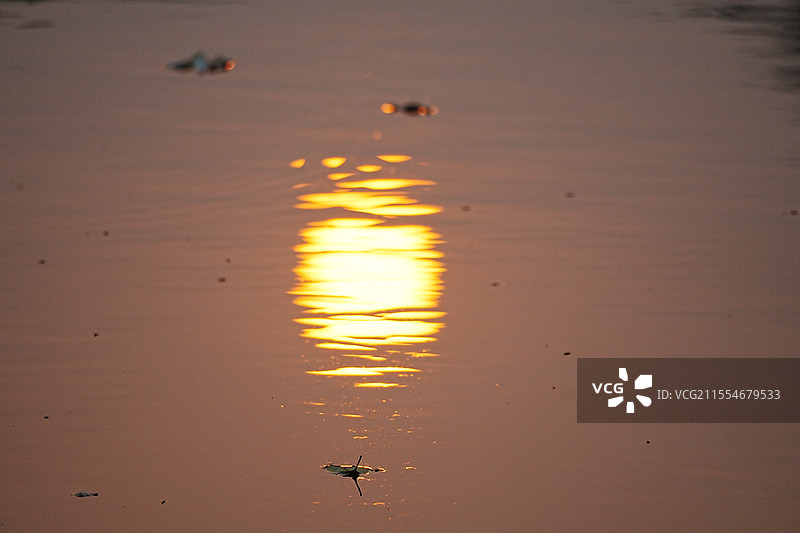 银河公园日落倒影图片素材