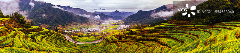 江西婺源江岭油菜花图片素材