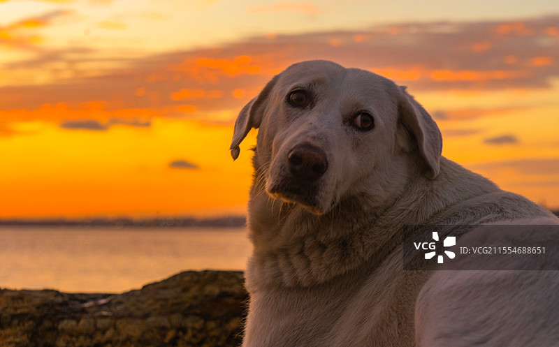 海边日落图片素材