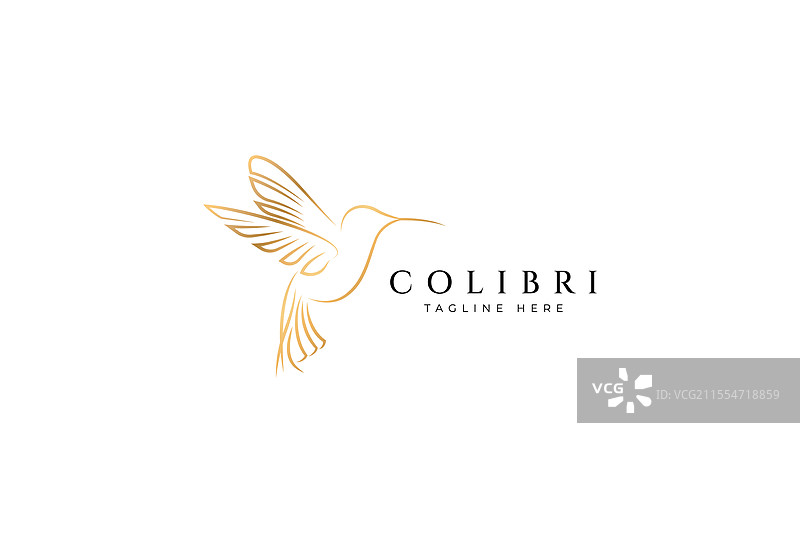 优雅现代的蜂鸟标志设计图片素材