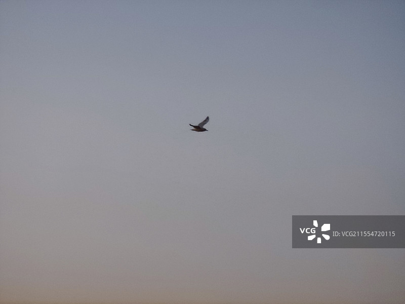 日照市万平口太公岛阳光海岸梦幻海滩看日出图片素材