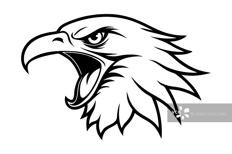 尖叫的鹰脸线条艺术图片素材